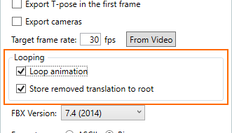 loop-animation-option